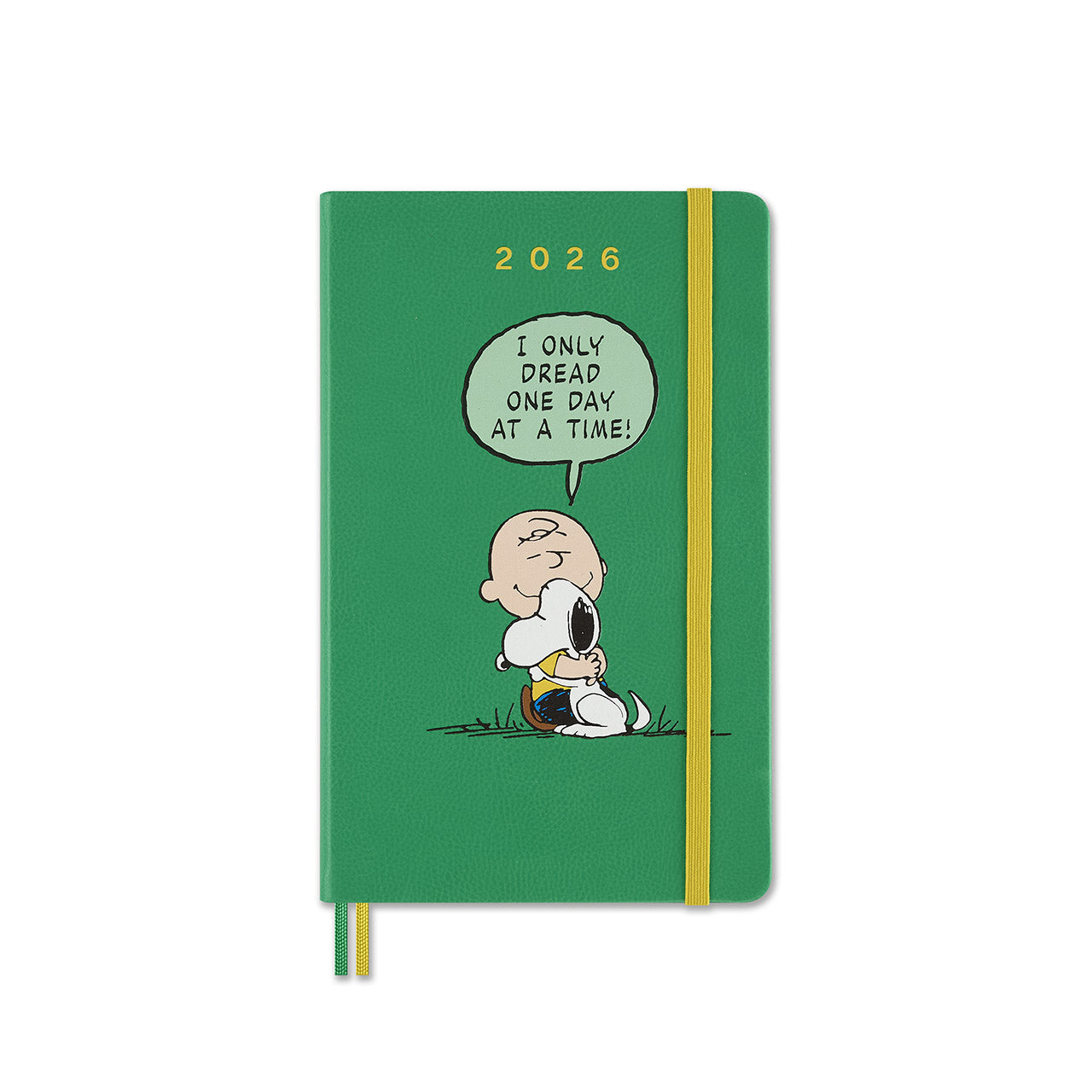 2026 Charlie and Snoopy Daily Diary Hard Cover Large