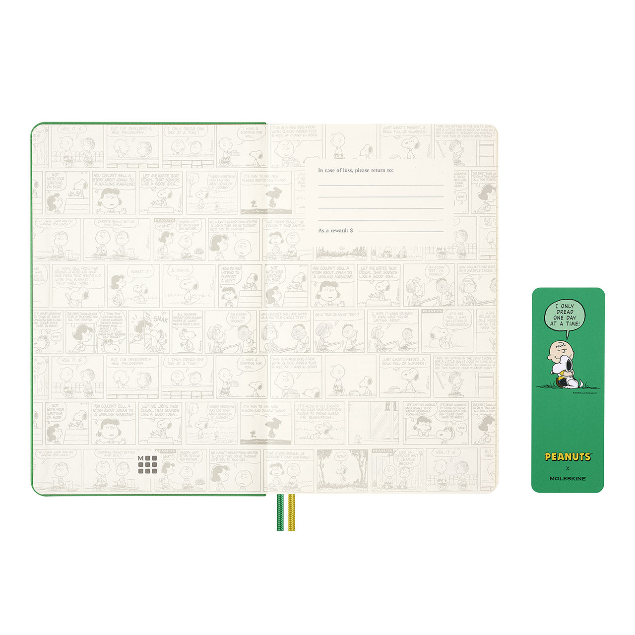 2026 Charlie and Snoopy Daily Diary Hard Cover Large