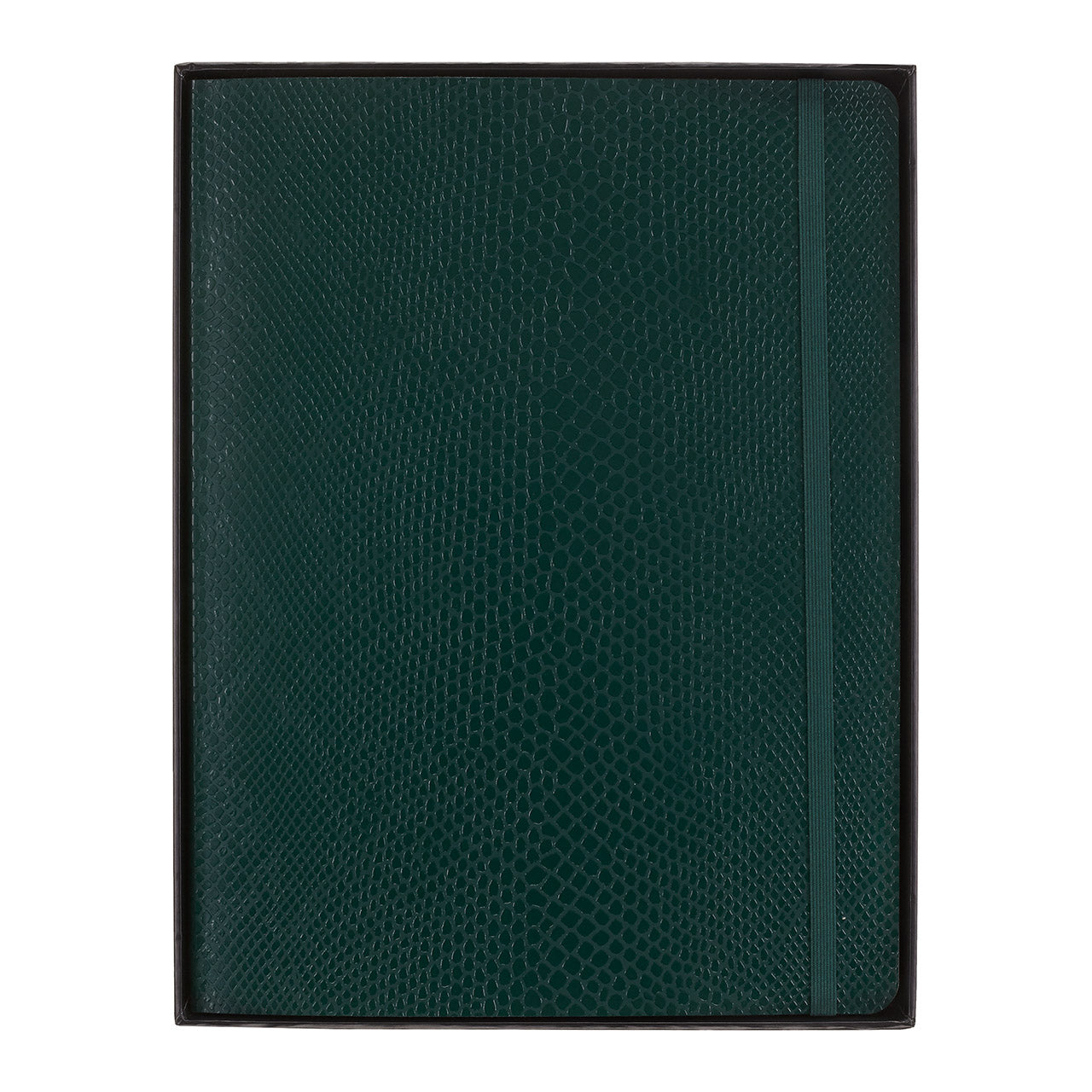 Precious & Ethical Boa Soft Cover Boxed Notebook Extra Large Green