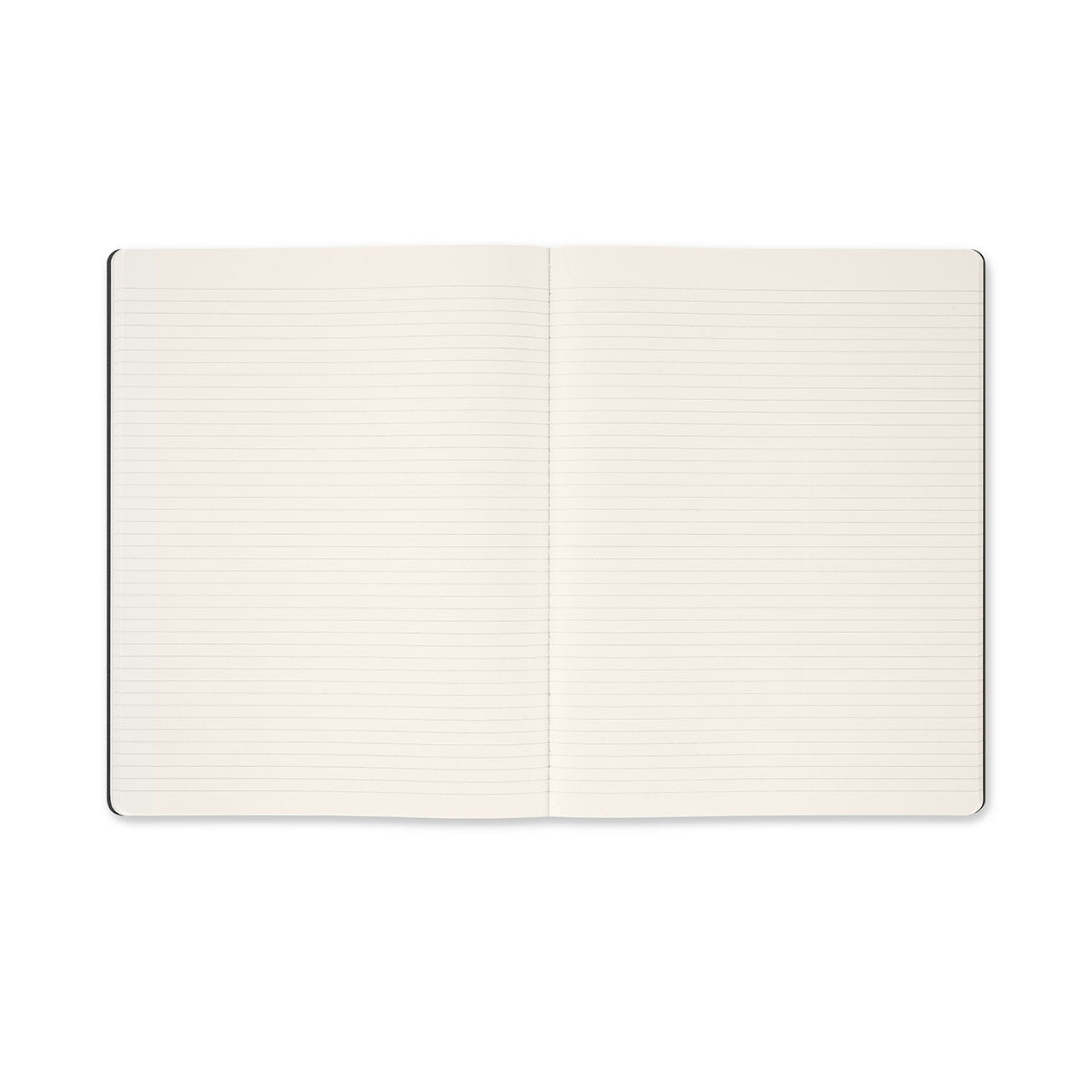 Year of the Horse Limited Edition Cahier Notebook