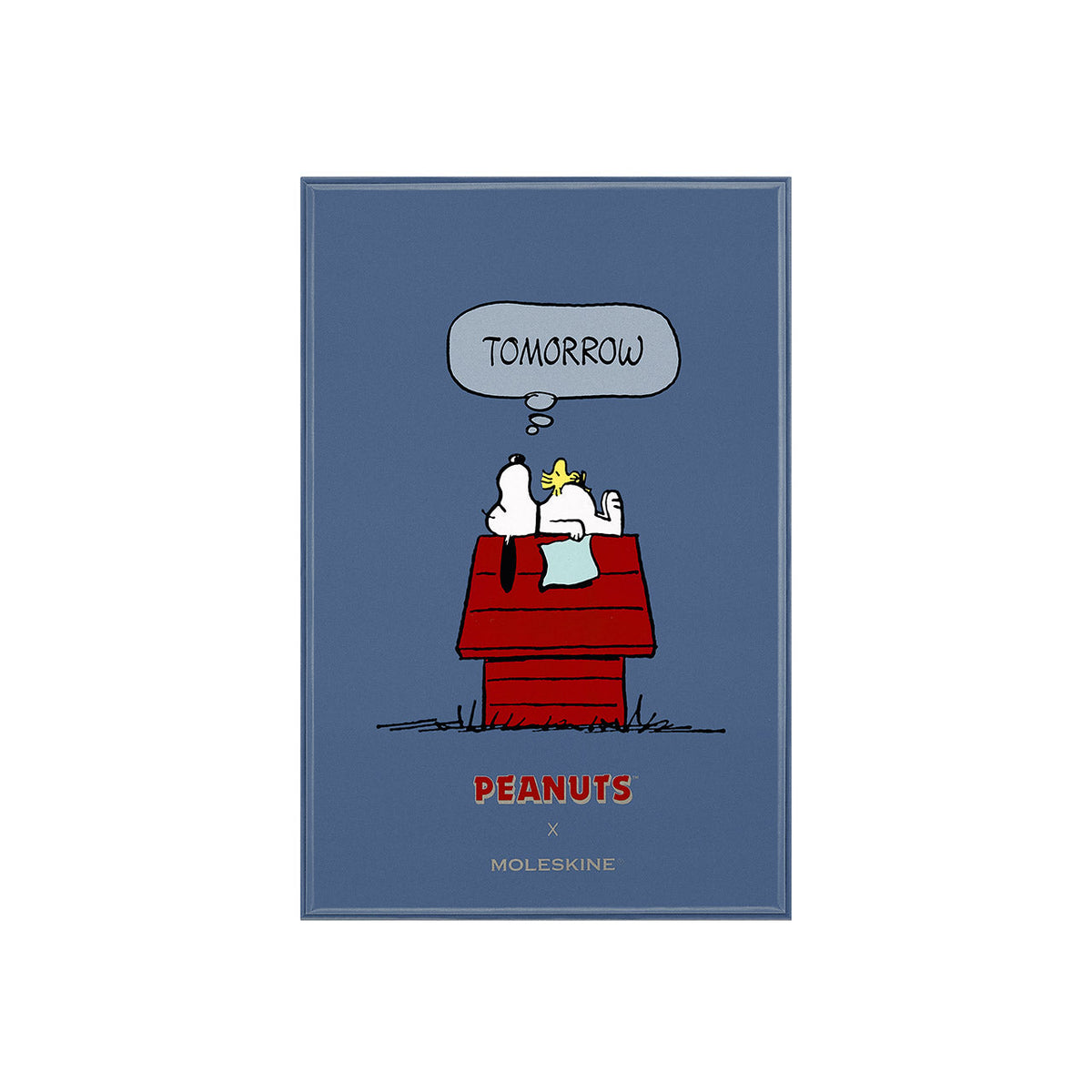 Peanuts Collection Limited Edition Snoopy Boxed Notebook