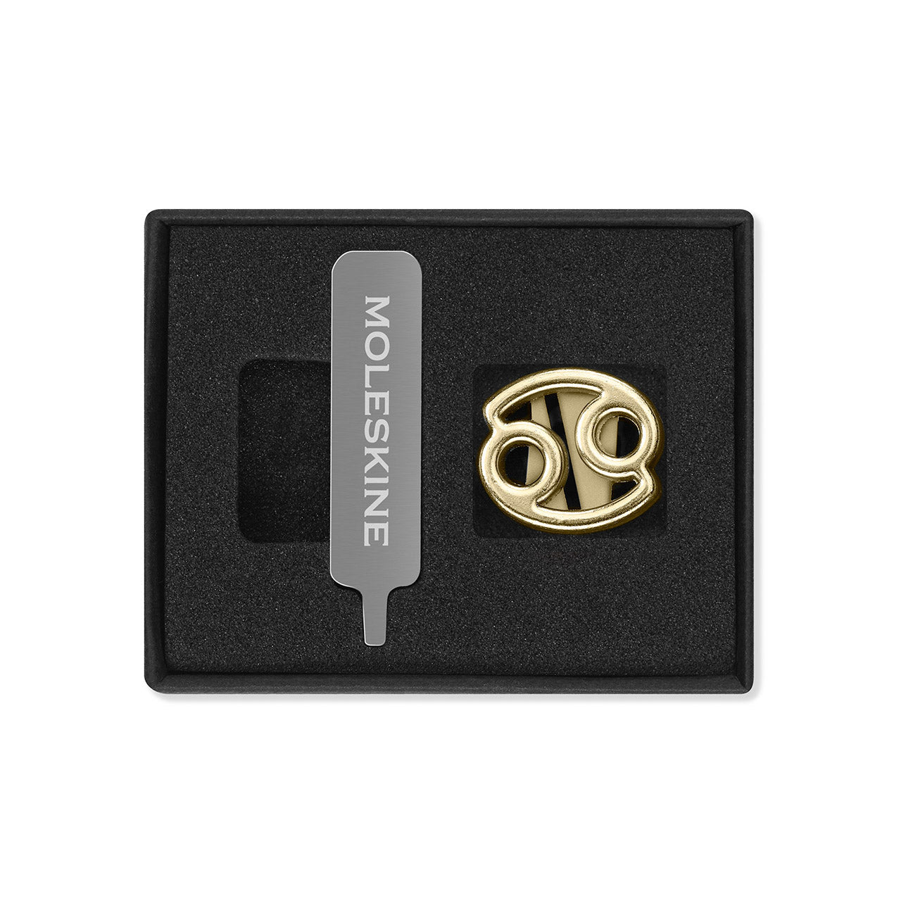 Zodiac Notebook Pin