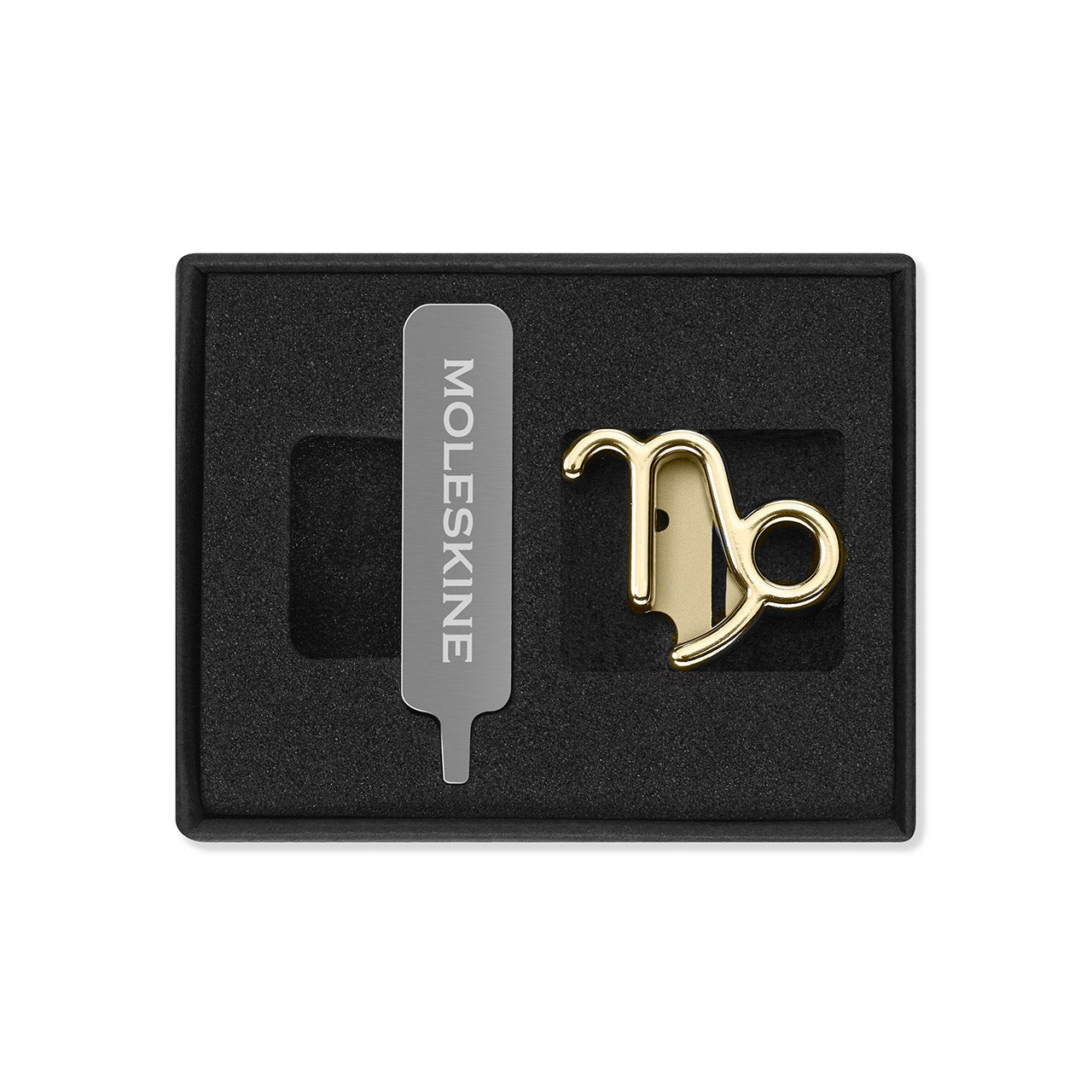 Zodiac Notebook Pin