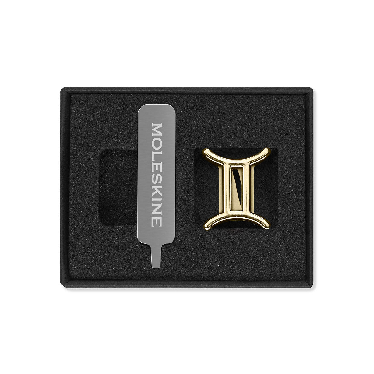 Zodiac Notebook Pin