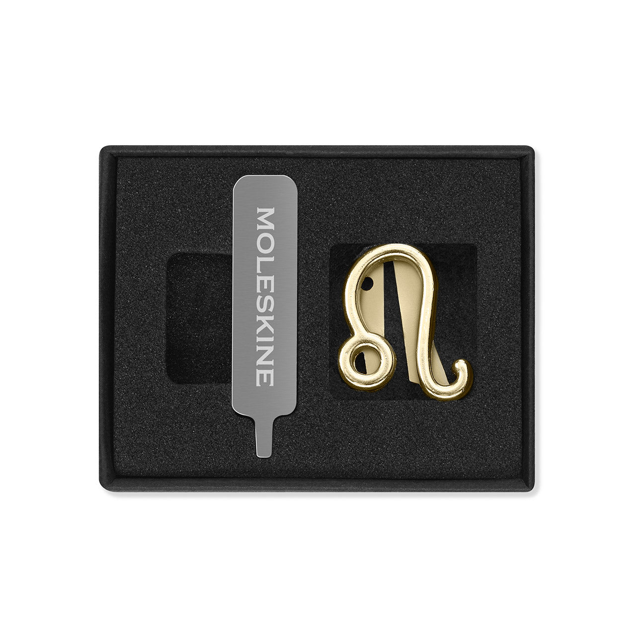 Zodiac Notebook Pin