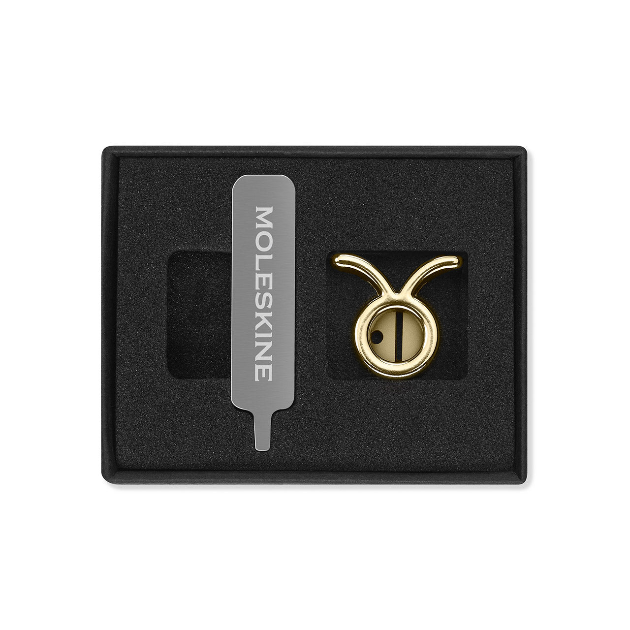 Zodiac Notebook Pin