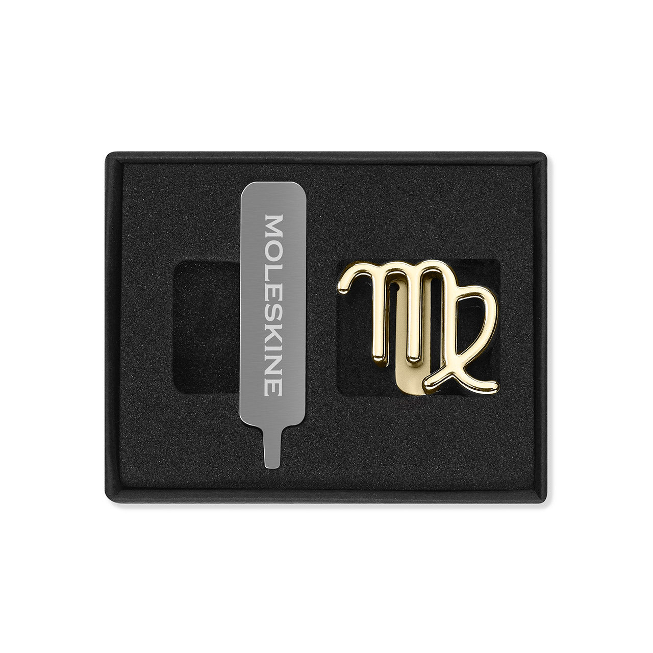 Zodiac Notebook Pin