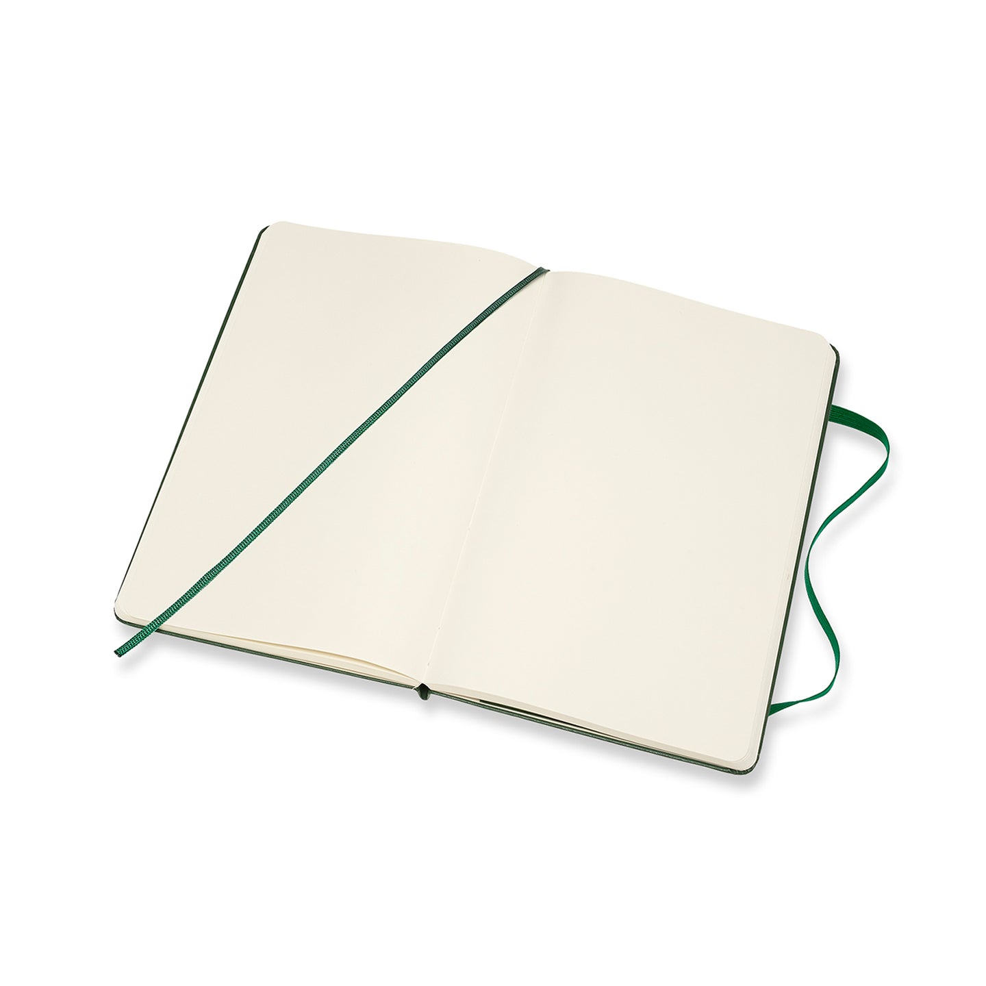 Moleskine Classic Large Hard Cover Notebook Myrtle Green – Moleskine ...