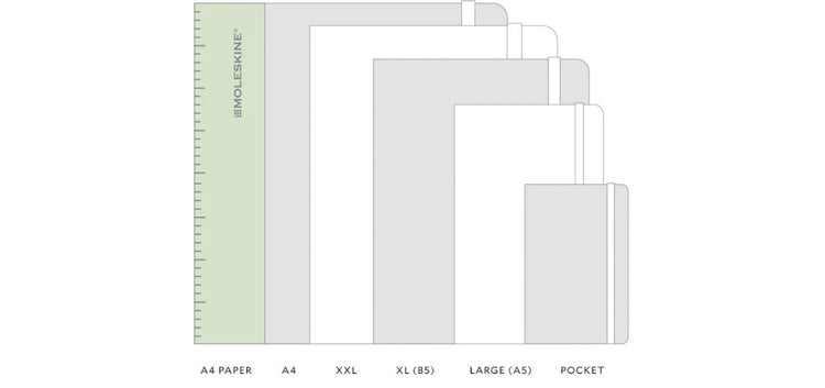 Notebook Size Guide – Moleskine Australia